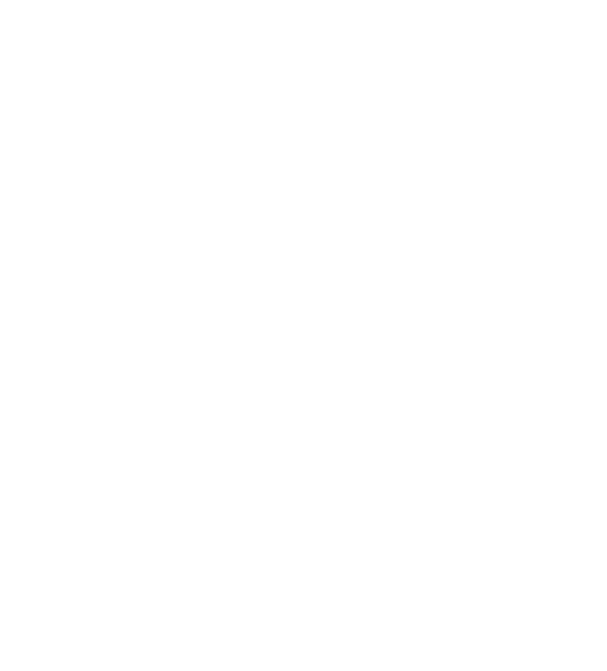VT's logo